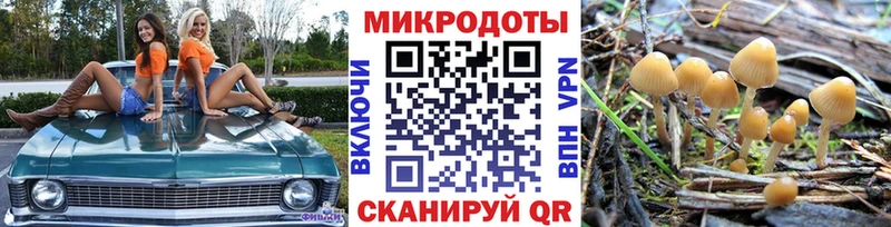 Псилоцибиновые грибы MAGIC MUSHROOMS  Купить где  Салехард 